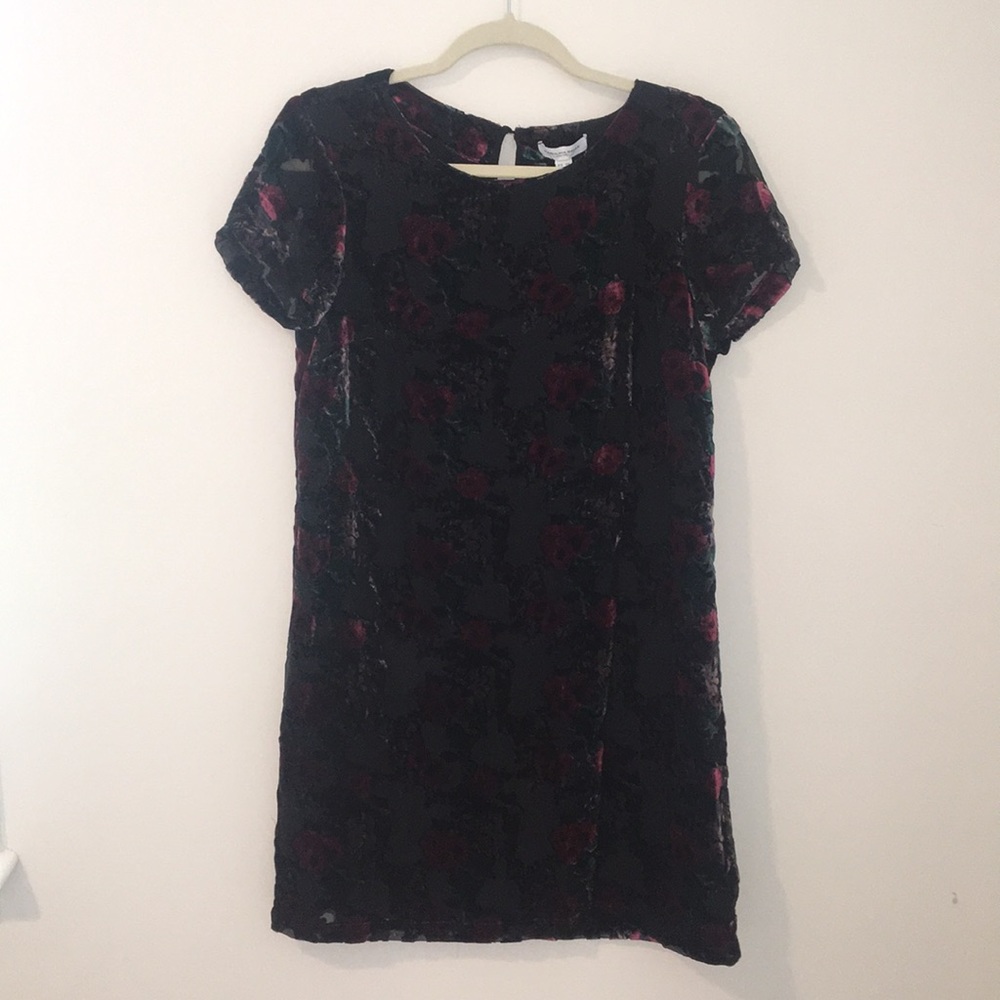 Carolina Belle Dress NWT